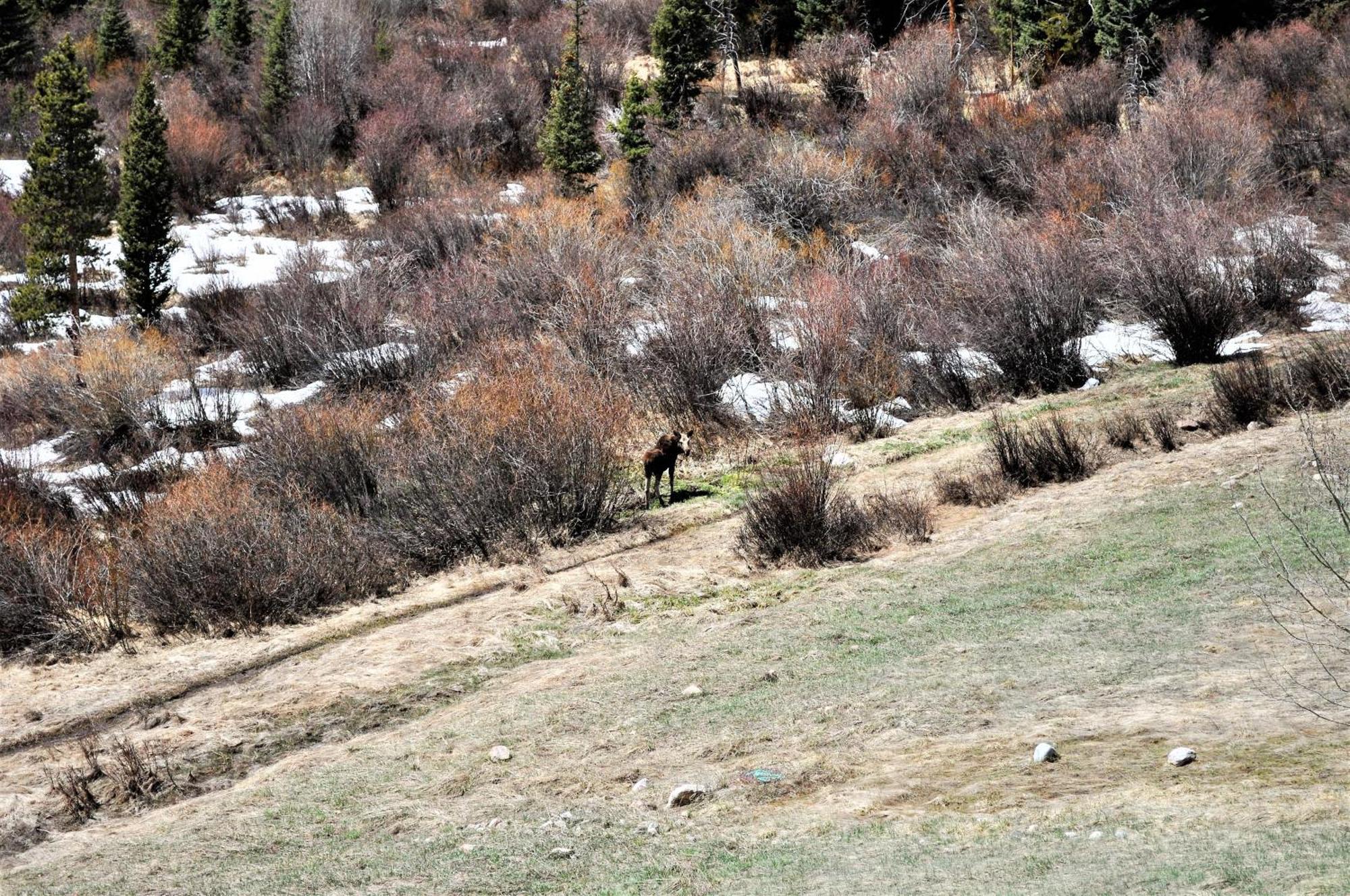 Forest Park 3 Bed 4 Bath Twnhm Htjm Silverthorne Εξωτερικό φωτογραφία